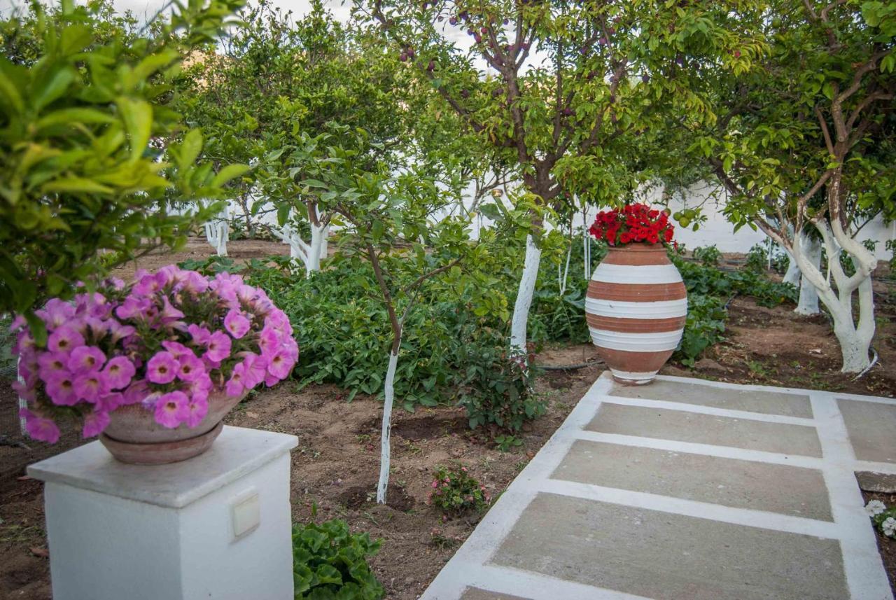 Perivoli 3-Chora Apartamento Agkidia Exterior foto