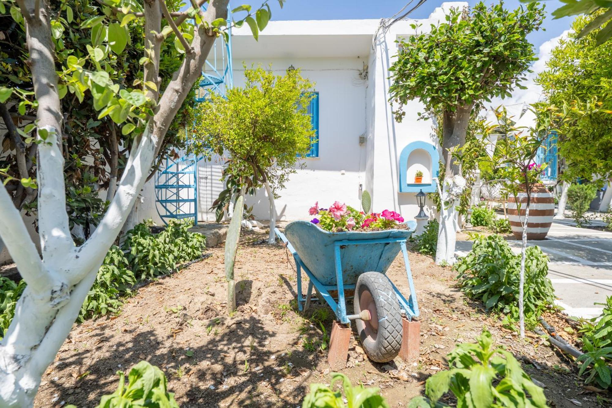 Perivoli 3-Chora Apartamento Agkidia Exterior foto